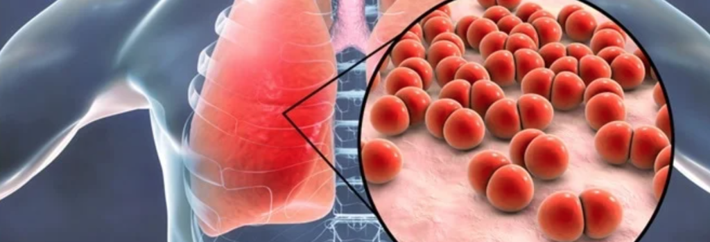 Screen Shot 2024-09-23 at 6.51.27 PM